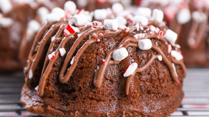 Chocolate Peppermint Mini Bundt Cakes - My Baking Addiction