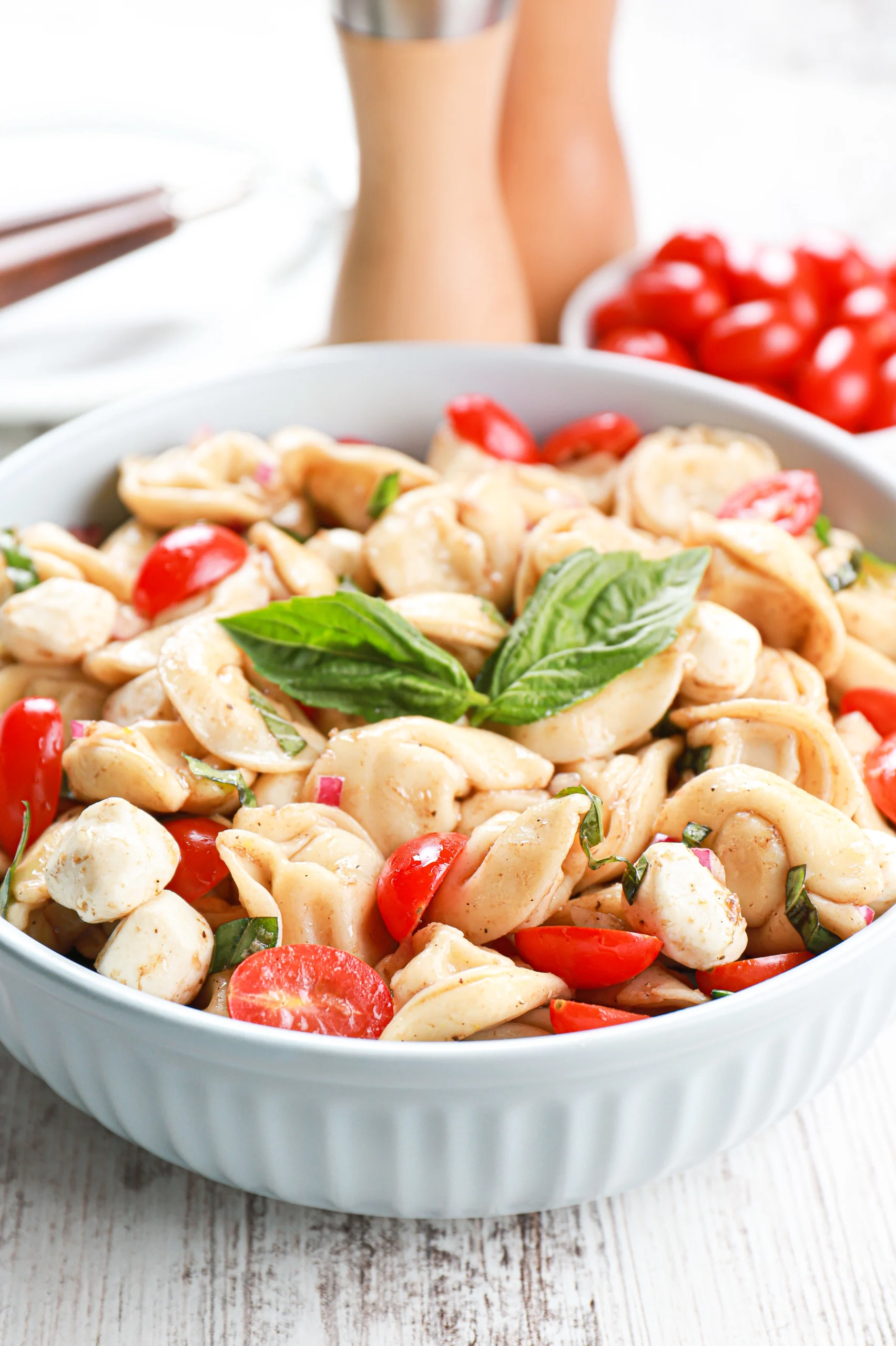 https://www.a-kitchen-addiction.com/wp-content/uploads/2022/05/caprese-tortellini-salad-vert-UC-scaled.jpg.webp