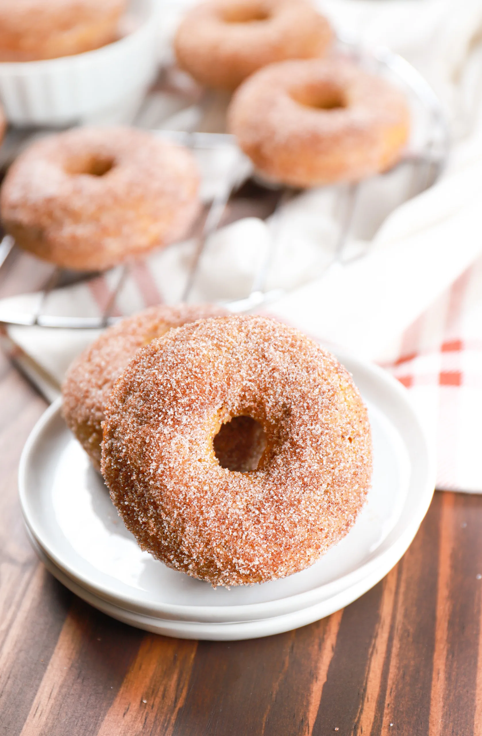 https://www.a-kitchen-addiction.com/wp-content/uploads/2022/09/cinnamon-sugar-pumpkin-donuts-vert-scaled.jpg.webp